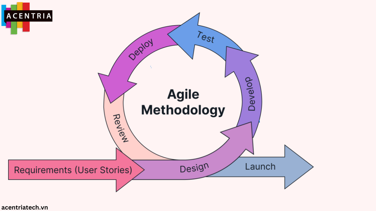 Agile Methodology