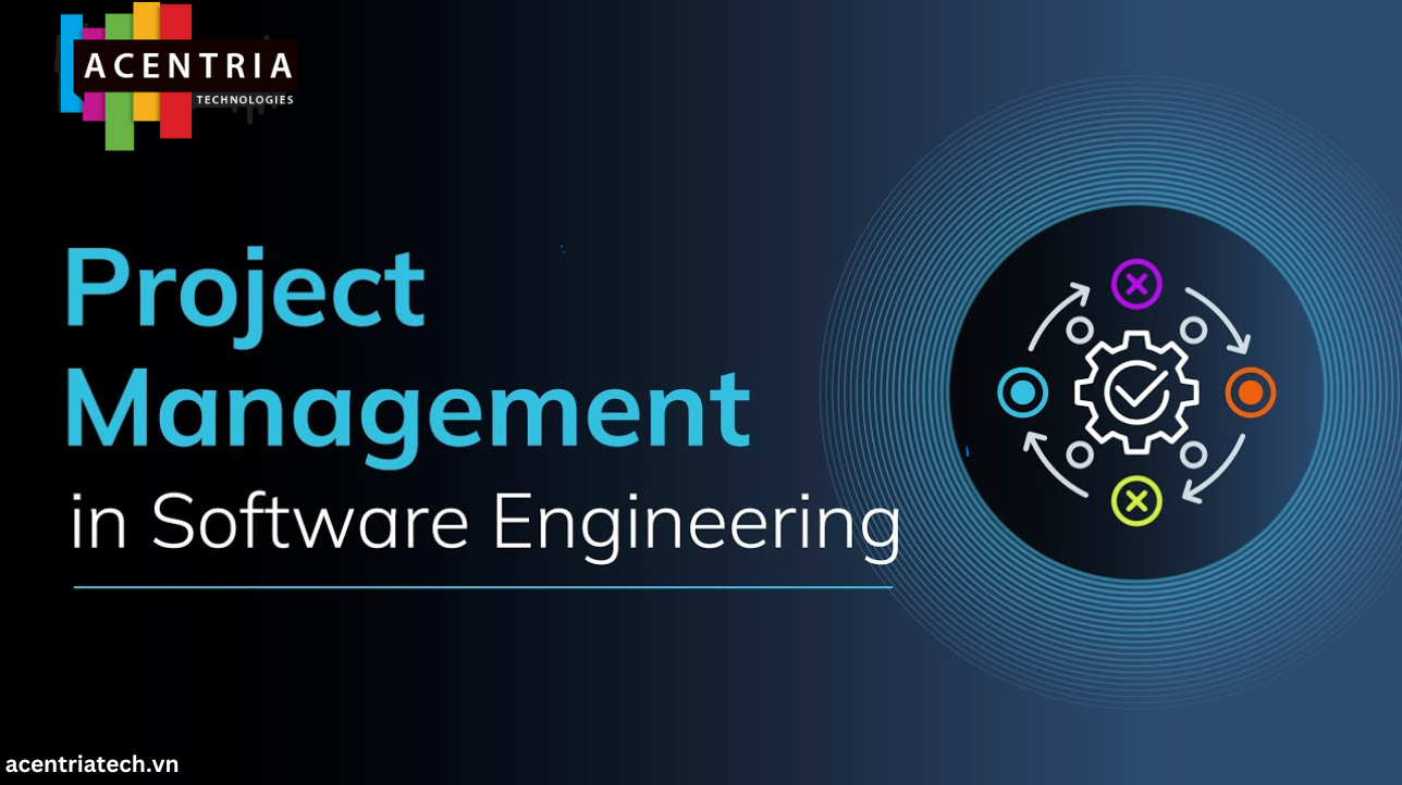 software project management